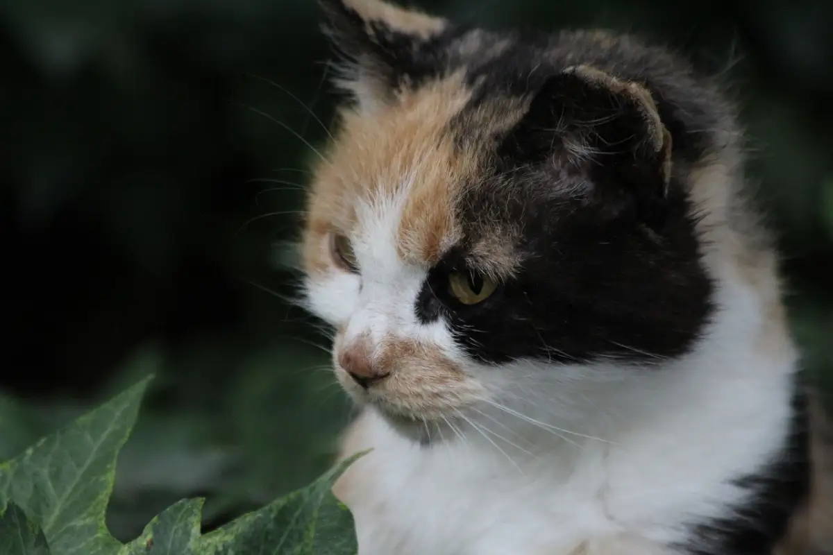 時間泥棒に気づかないまま疲弊する落とし穴