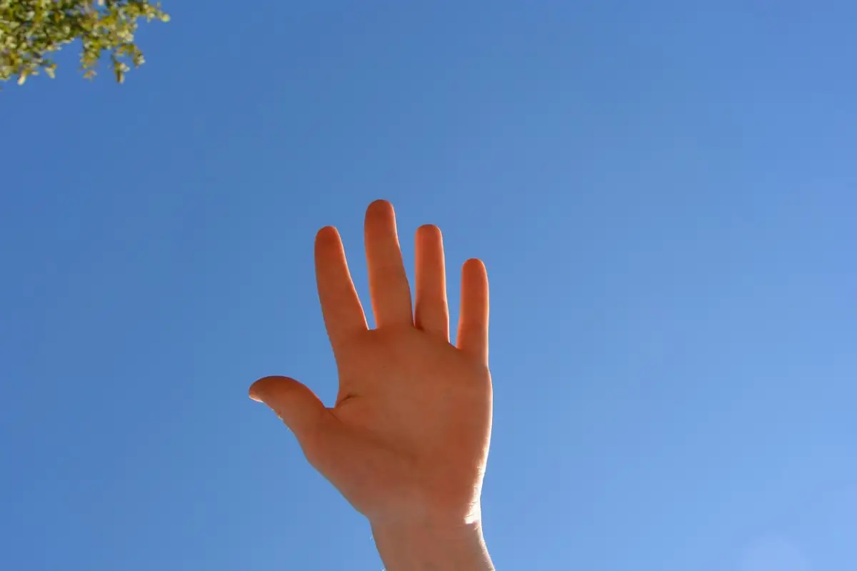 SNSでの情報収集が招く比較疲れの防ぎ方