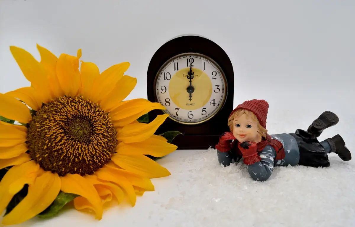 隙間時間を学びに変える5つの習慣